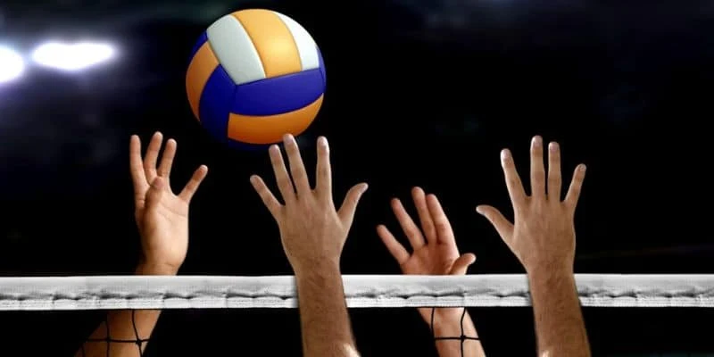 What is brief information about volleyball betting?