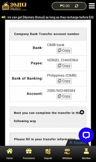 Step 3: 30JILI's beneficiary bank account information appears, please make a transfer according to this information.