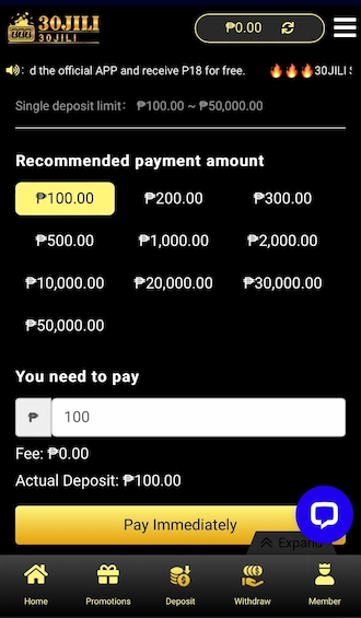 Step 2: Please fill in the amount you want to pay, then select "Pay Immediately" to move to the next step.
