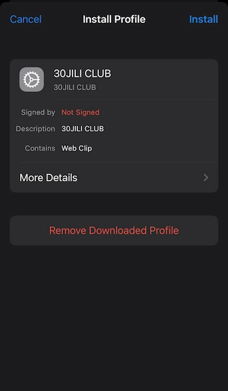 Step 4: Access your phone's settings and select the 30JILI profile you just downloaded. Then select "Install" this profile.