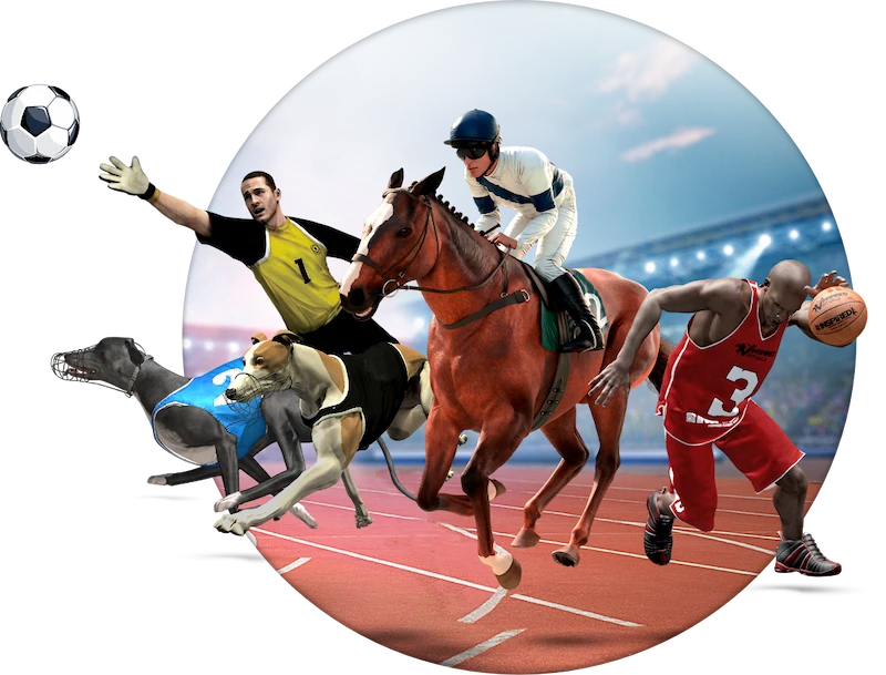 Why Should You Bet on Virtual Sports?
