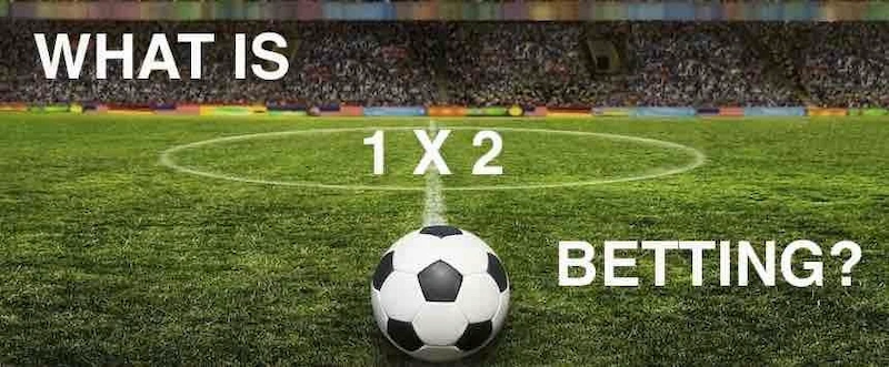 What Knowledge Do You Need to Know When Betting on 1×2 Odds?
