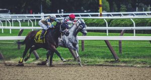 The most popular forms of horse racing betting today
