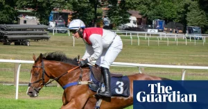 Important factors that affect horse racing results
