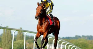 What is horse racing betting?